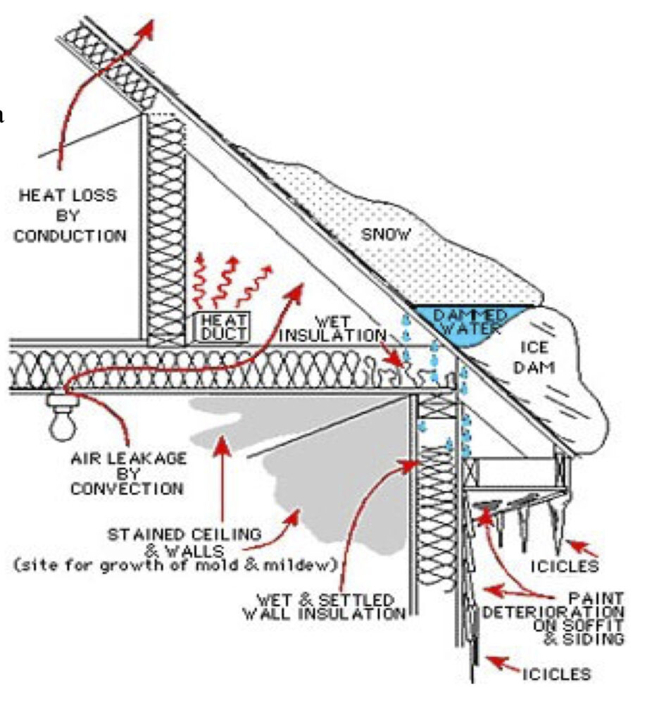 arcticsteamer2018-2019-copy-936x1024